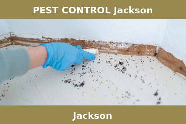 PEST CONTROL Jackson